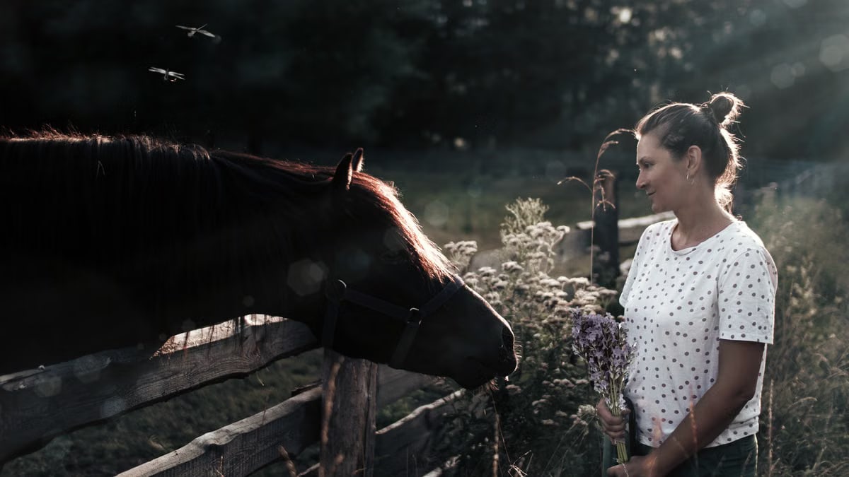A woman standing next to a horse by a fence, holding flowers in the countryside during sunset.